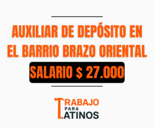 auxiliar de deposito